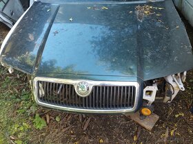 FABIA1 KAPOTA MASKA pz dveře sklo - 3