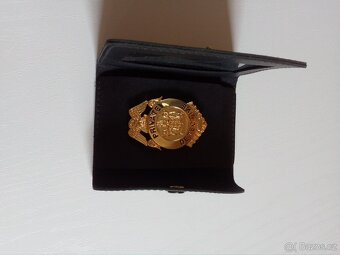 Prodám odznak PRIVATE DETECTIVE - 3