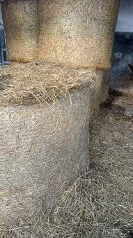 Sláma, kulaté balíky slámy - 3