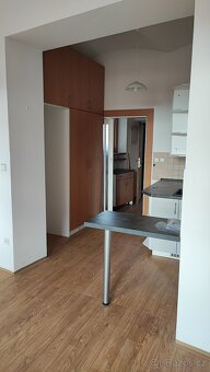 pronájem garsonky 27m2+7m2 ost  celkem 34m2 - 3