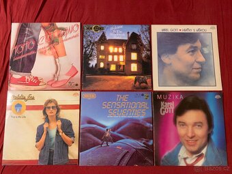 Gramofonové desky (vinyly) různých interpretů (klasiky) - 3