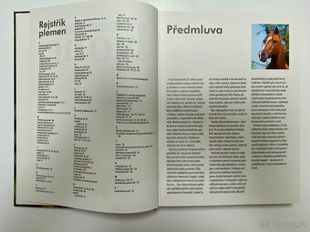 Obrazový průvodce koně - 3