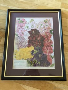 Obrazy KVETINY - 3