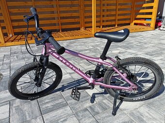 Rascal 16 Raspberry - 3