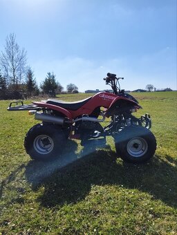 Bashan bs200s-3 - 3