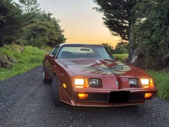 Pontiac Firebird Trans Am z roku 1980 - 3