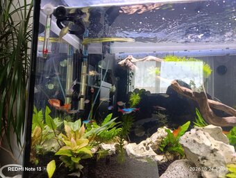 Prodam jomplet akvarium 240 L - 3