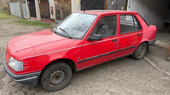 Peugeot 309 - 3