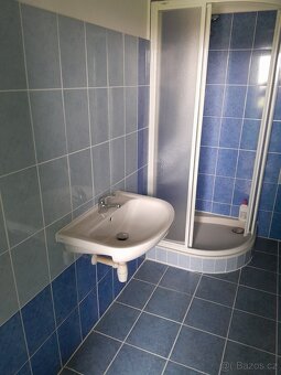 Pronájem nebytových obchodních prostor v lokalitě Opava - 3