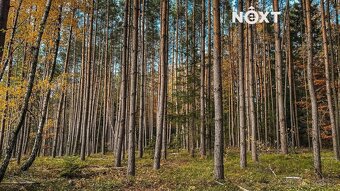 Prodej pozemek Lesy, 10398㎡ - 3