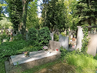 Přenechám pronájem hrobového místa na Olšanských hřbitovech - 3