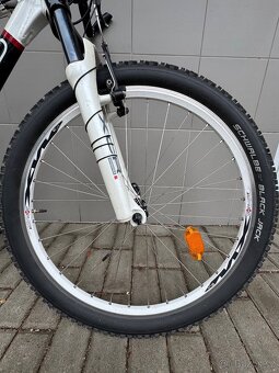 Pelss 26’ - 3