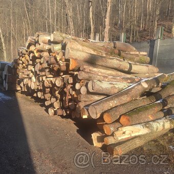 Palivové drěvo - 3