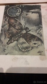 Ex Libris obrazky - 3