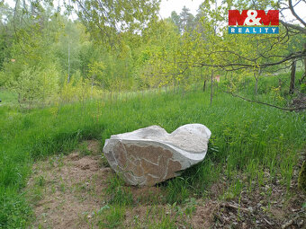 Prodej louky, 6962 m², Kořenov - 3