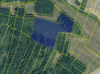 Lesní pozemek u Horažďovic - 3