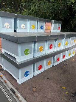 Plemenáče 39x17 4-rámkové - 3