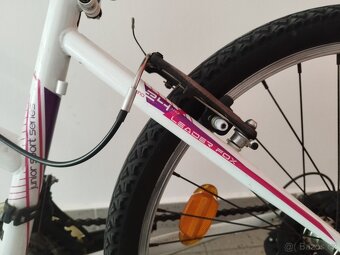 Leader Fox Buffalo 24 - 3