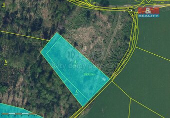 Prodej lesa, 19927 m², Dobruška - 3