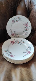 Retro hluboké talíře, podnosy, terina - 3