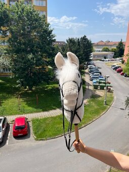 Hobby Horse - 3