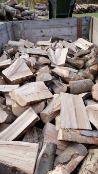 Palivové dřevo - 3