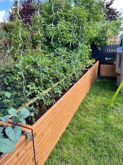 Vyvýšený záhon - 3