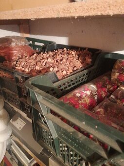 Vánoční a velikonoční dekorace - 3