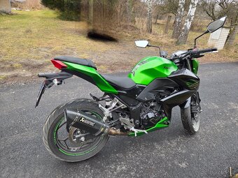 Kawasaki Z300 - 3