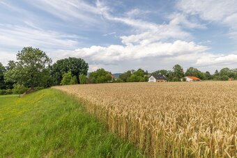 Prodej stavební pozemek, Vražné - 3
