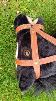 Koník na hobby horses - 3