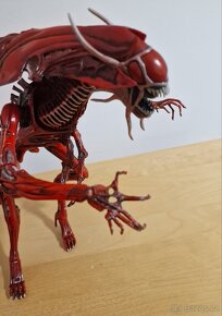 Aliens - Genocide Red Queen, Predalien Hybrid, Xenomorph - 3