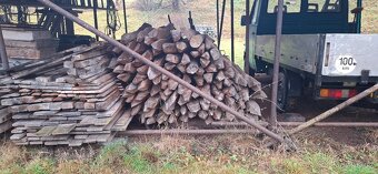 Dubové kůly na oplocení - 3