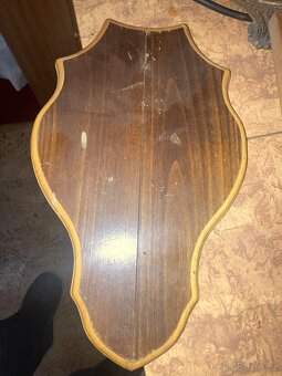 Daněk,myslivost - 3