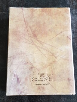 Margaret Mitchellová – Jih proti severu I + II - 3