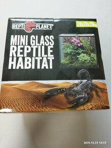Akvárium/terárium reptiplanet 20x20x20 - 3