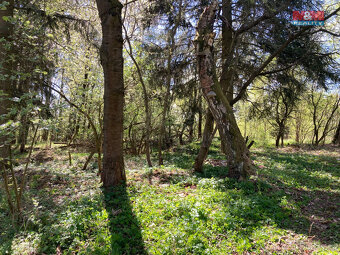 Prodej chaty, 16 m², Zbraslavice - Kateřinky, pozemek 459 m² - 3