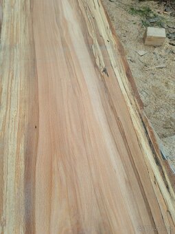 Fošny dub,buk,javor 60 mm. - 3