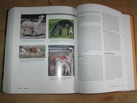 The Complete ALPACA book (2nd revised edition) - 3