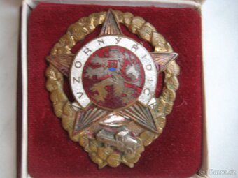 Smaltovaný odznak vzorný řidič, číslovaný originál v etui - 3