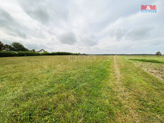 Prodej komerčního pozemku, 7766 m², Škrdlovice - 3