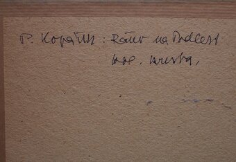 Pavel Kopáček, Podlesí - 3