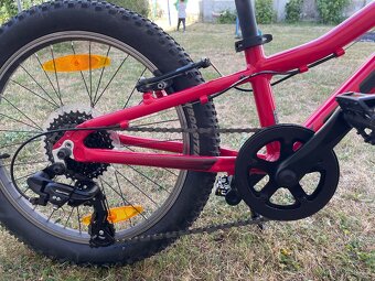 Scott Contessa 20 - 3