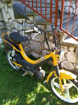 Manet Korado - 3