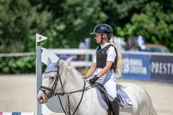 Sportovní pony kategorie B - 3