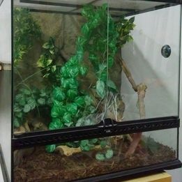 Exo terra terárium + příslušenství - 3