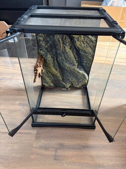 Terárium Exo Terra - 3