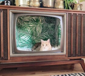 TV pro kočku - 3