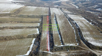 Prodej vinice ve Starovicích u Hustopečí - 3
