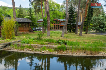 Prodej rodinného domu v Horních Loučkách, s pozemky 7917 m² - 3